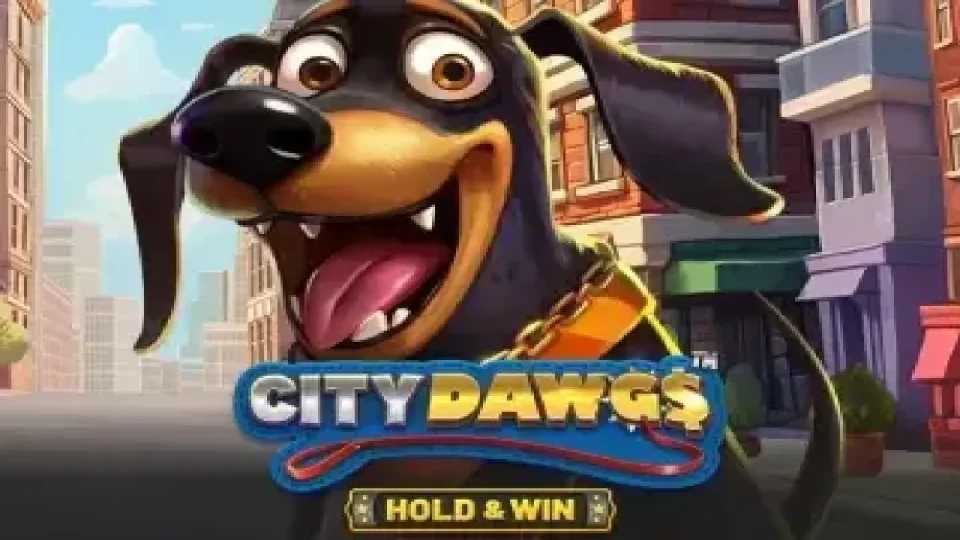 City Dawgs – Hold & Win — Slots by BetSoft