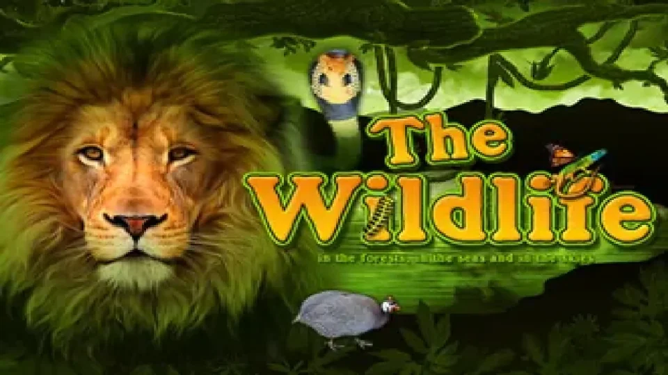 The Wildlife — Slots by Belatra Games