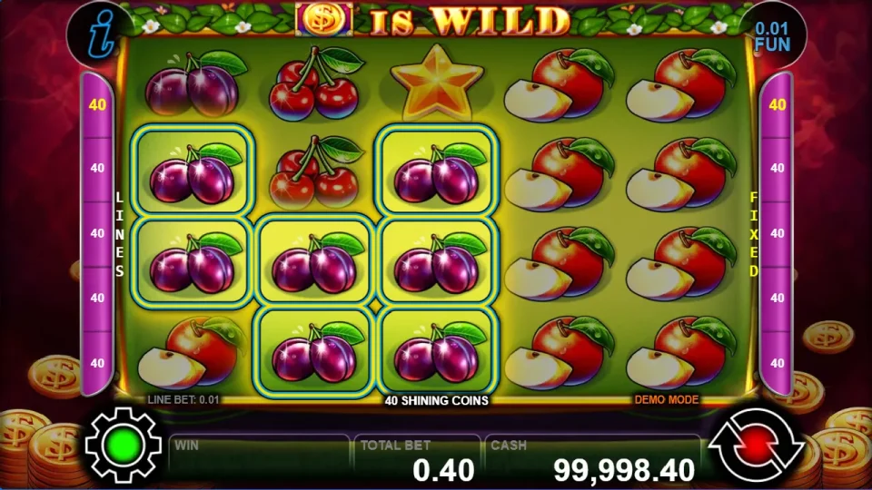 40 Shining Coins — screenshot 4