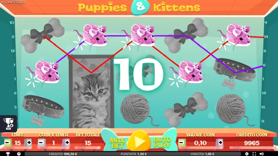 Puppies and Kittens — screenshot 4