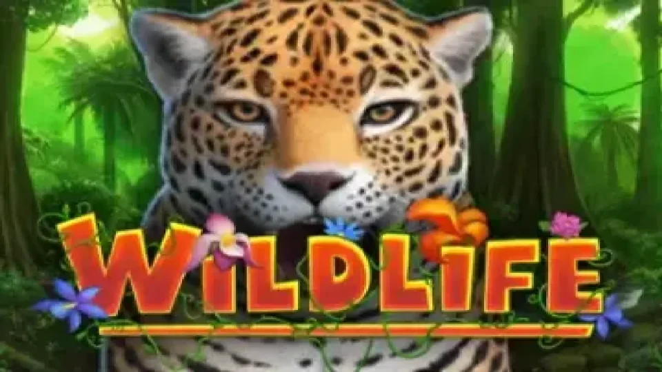 Wildlife — Slots by Capecod Gaming