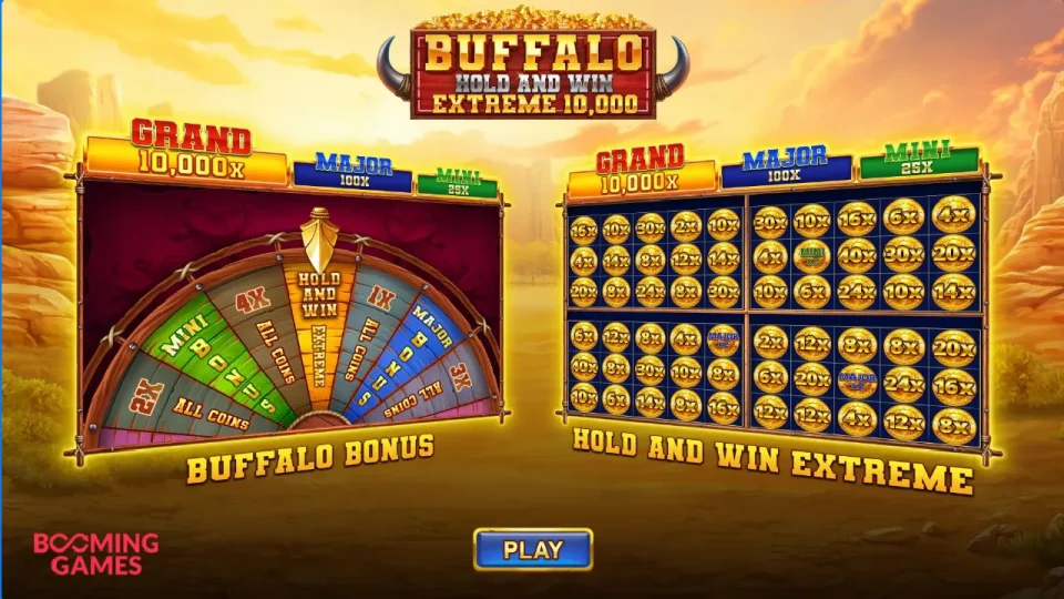 Buffalo Hold and Win Extreme 10,000 — screenshot 2