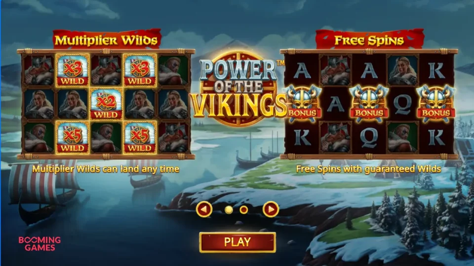 Power of the Vikings — screenshot 2
