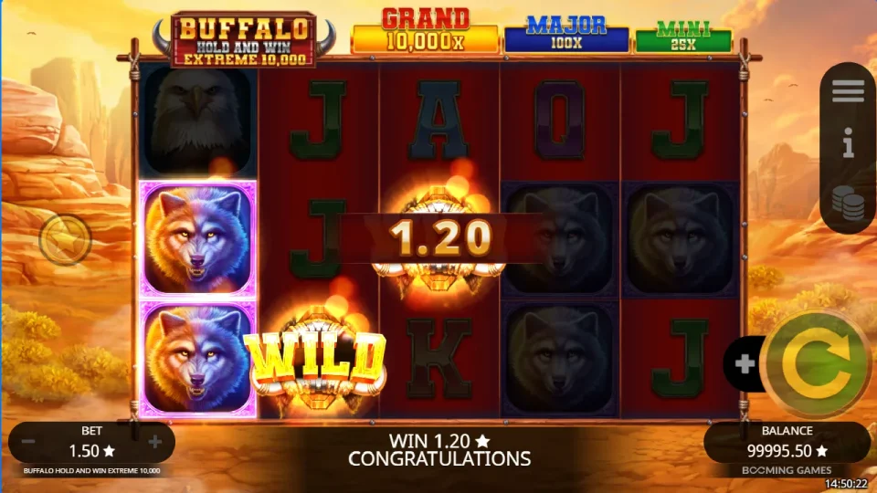 Buffalo Hold and Win Extreme 10,000 — screenshot 3