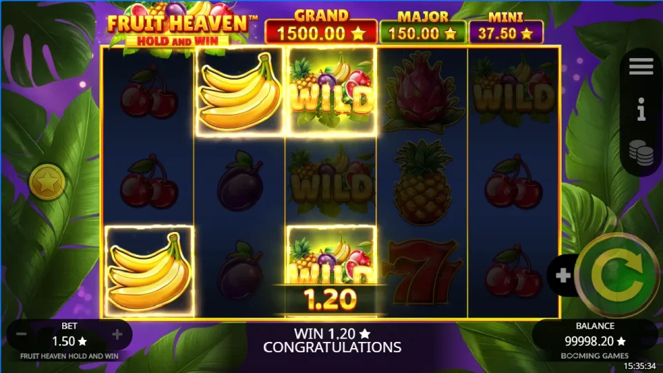 Fruit Heaven Hold and Win — screenshot 3