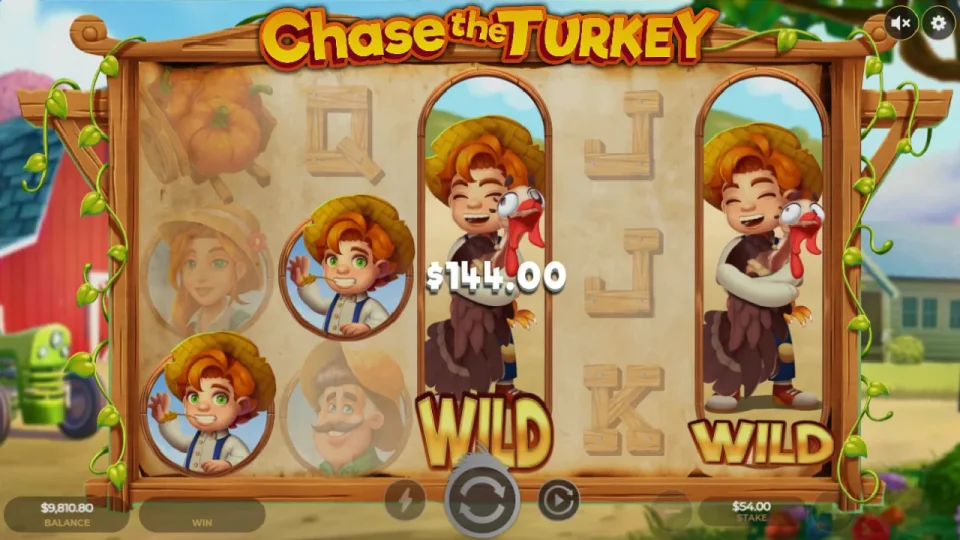 Chase The Turkey — screenshot 3