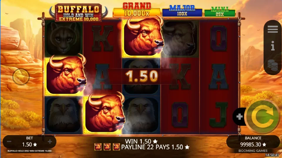 Buffalo Hold and Win Extreme 10,000 — screenshot 5