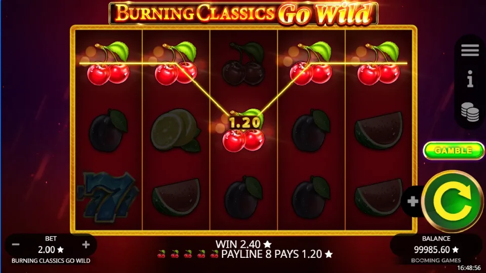 Burning Classics Go Wild — screenshot 2