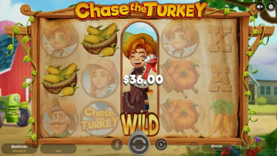 Chase The Turkey — screenshot 4