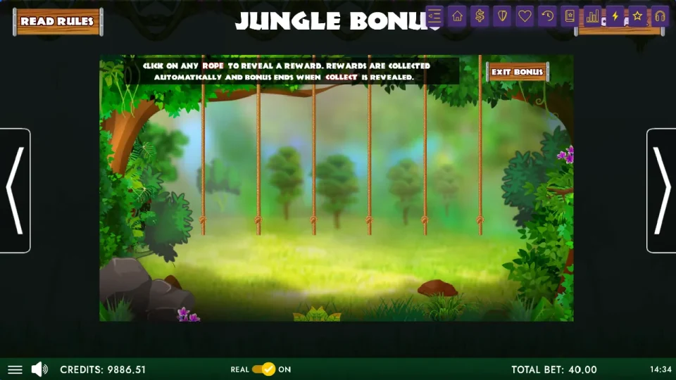 Ju Jungle Treasures — screenshot 4