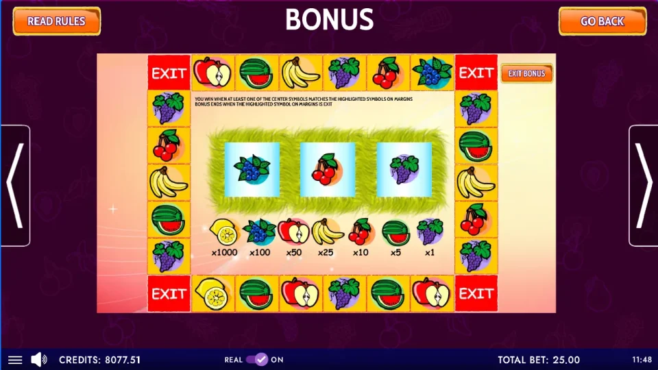 Fruit Party Non-Stop — screenshot 4
