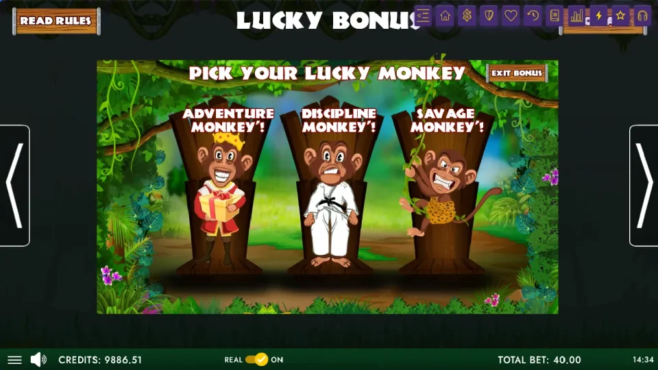 Ju Jungle Treasures — screenshot 5