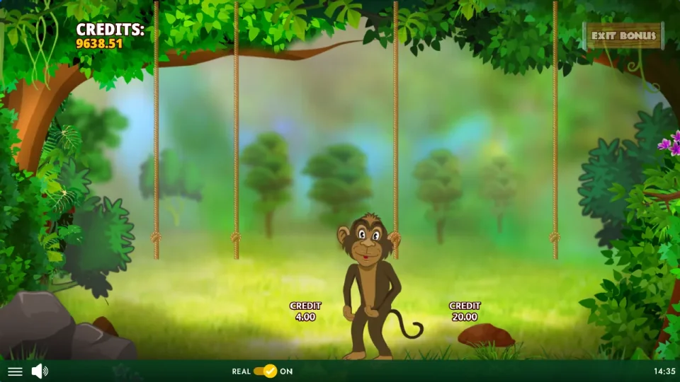 Ju Jungle Treasures — screenshot 7