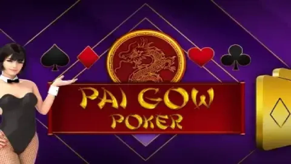 Pai Gow Poker Heads-Up 3D Dealer Deluxe — Video poker by CasinoWebScripts