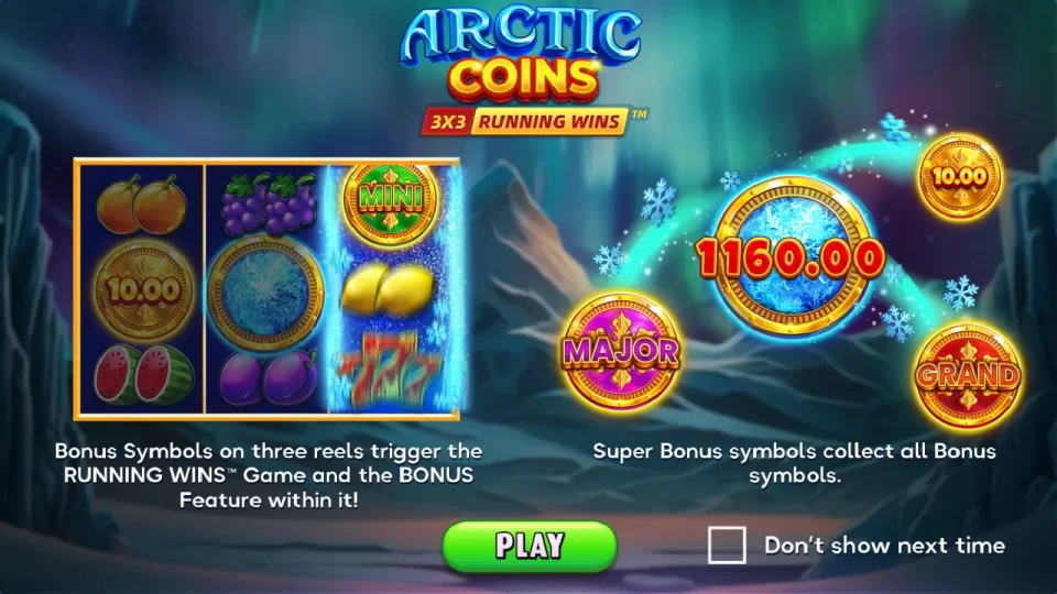 Arctic Coins: Running Wins — screenshot 1