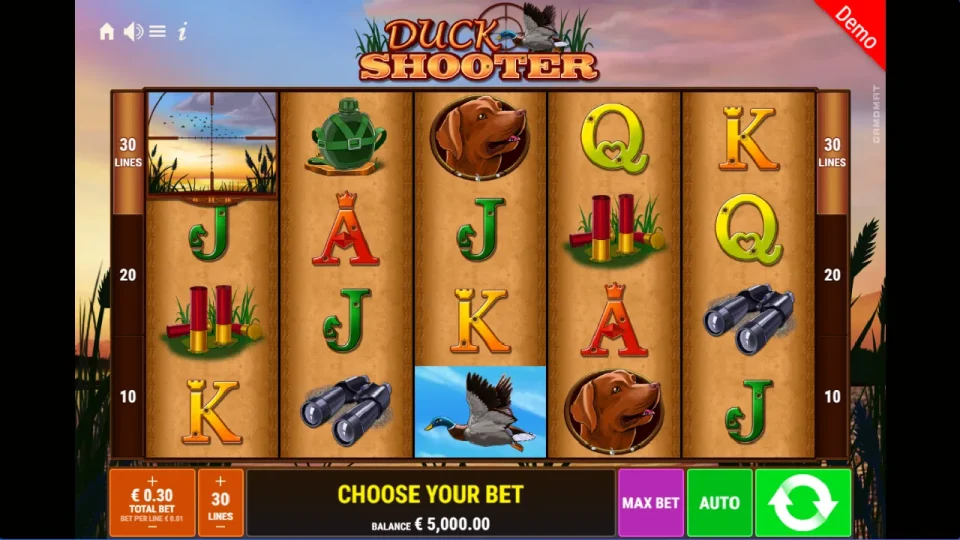 Duck Shooter — screenshot 1