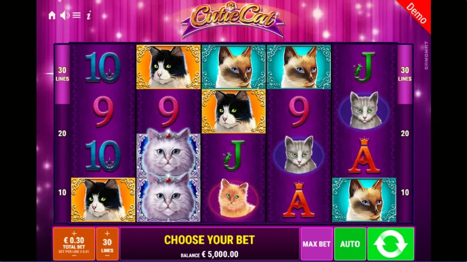 Cutie Cat — screenshot 1