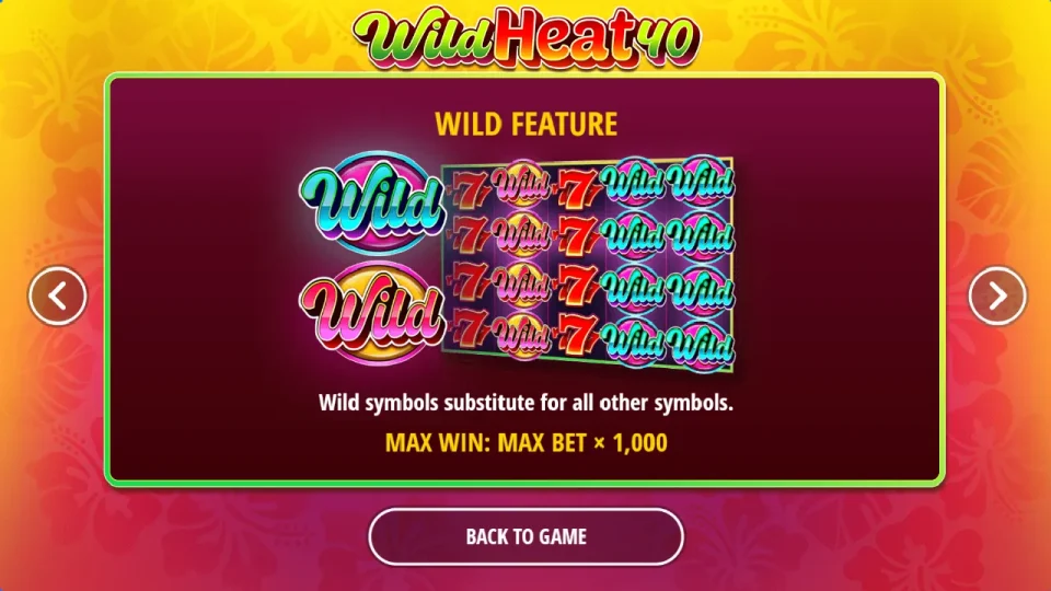 Wild Heat 40 — screenshot 2