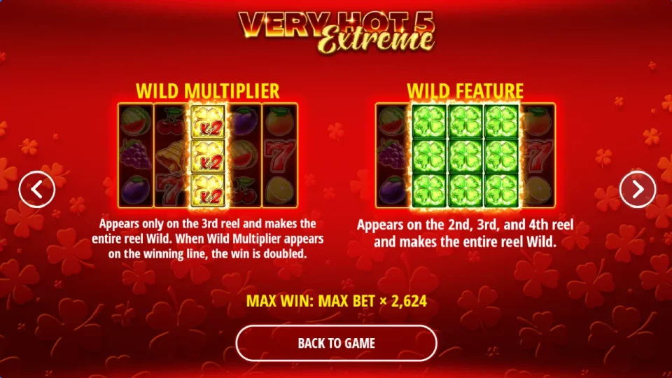 Very Hot 5 Extreme — screenshot 2