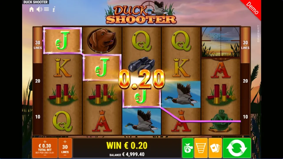 Duck Shooter — screenshot 2