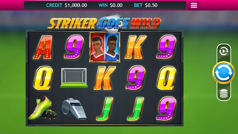 Striker Goes Wild — screenshot 2