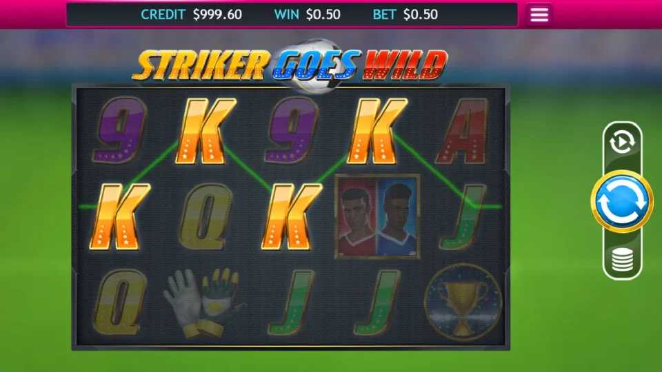 Striker Goes Wild — screenshot 4
