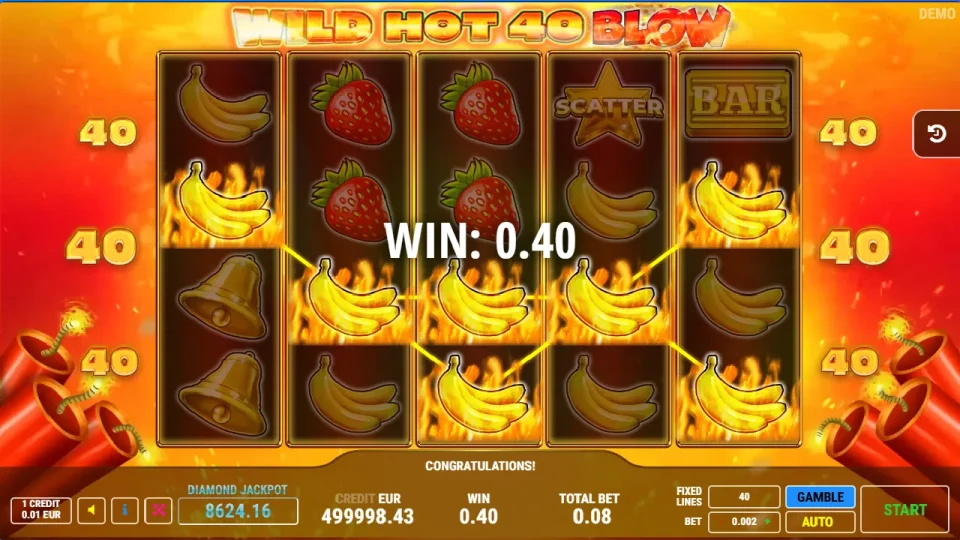 Wild Hot 40 Blow — screenshot 4