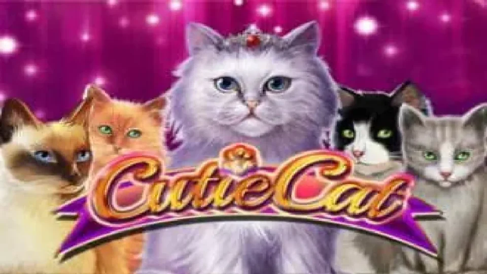 Cutie Cat — Slots by Gamomat