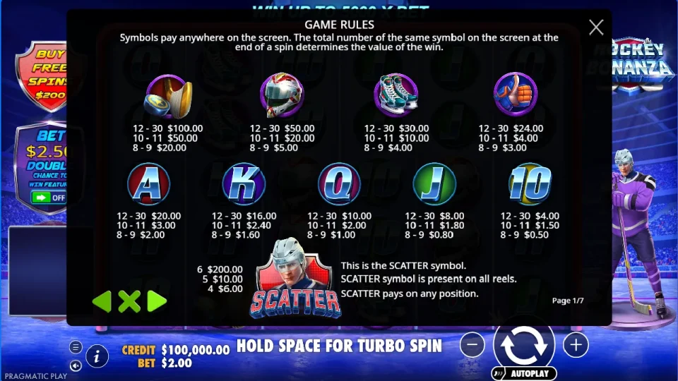 Hockey Bonanza — screenshot 1