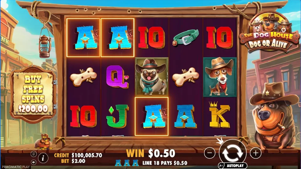The Dog House – Dog or Alive — screenshot 10