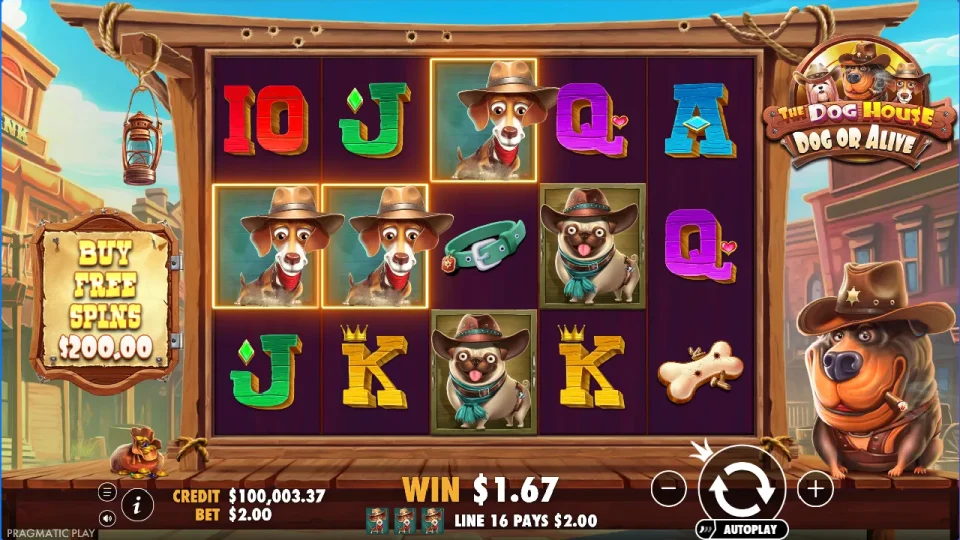 The Dog House – Dog or Alive — screenshot 11