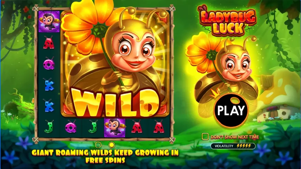 Ladybug Luck — screenshot 2