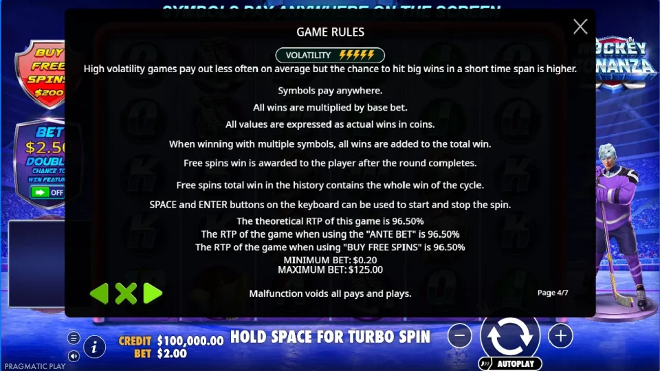 Hockey Bonanza — screenshot 4
