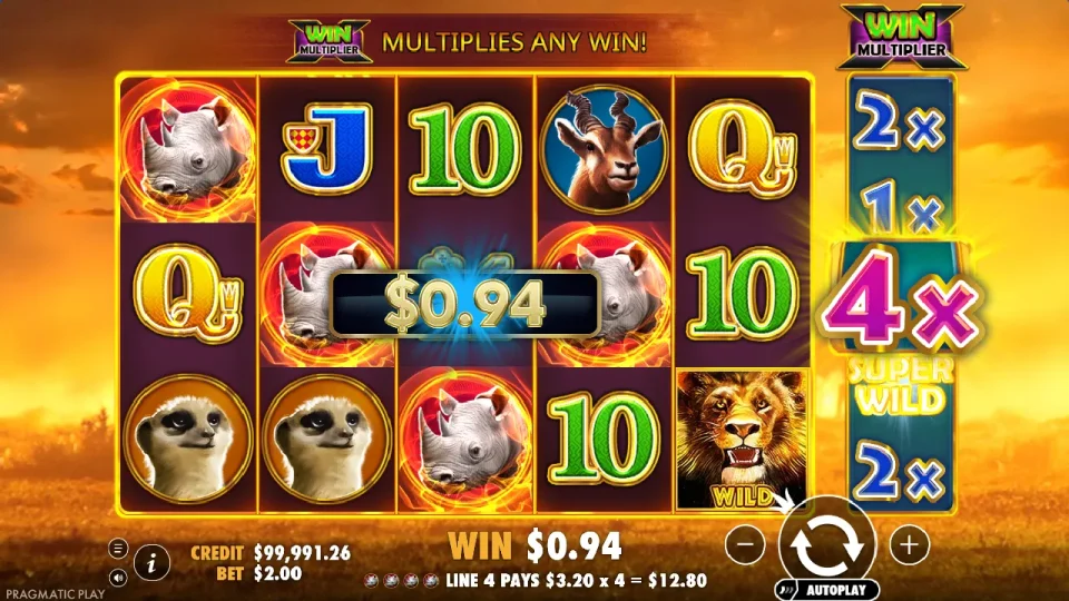 Hot Safari — screenshot 4