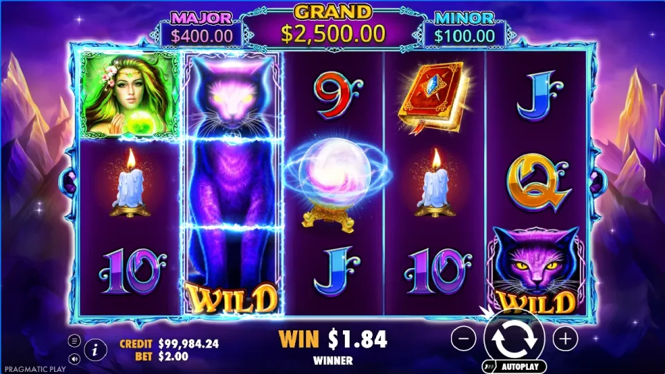 Wild Spells — screenshot 5