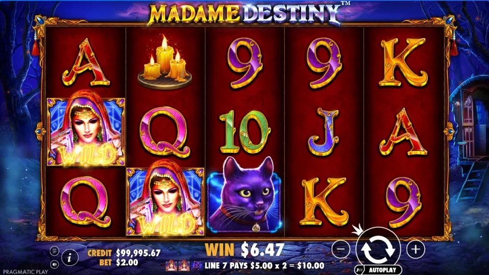 Madame Destiny — screenshot 7