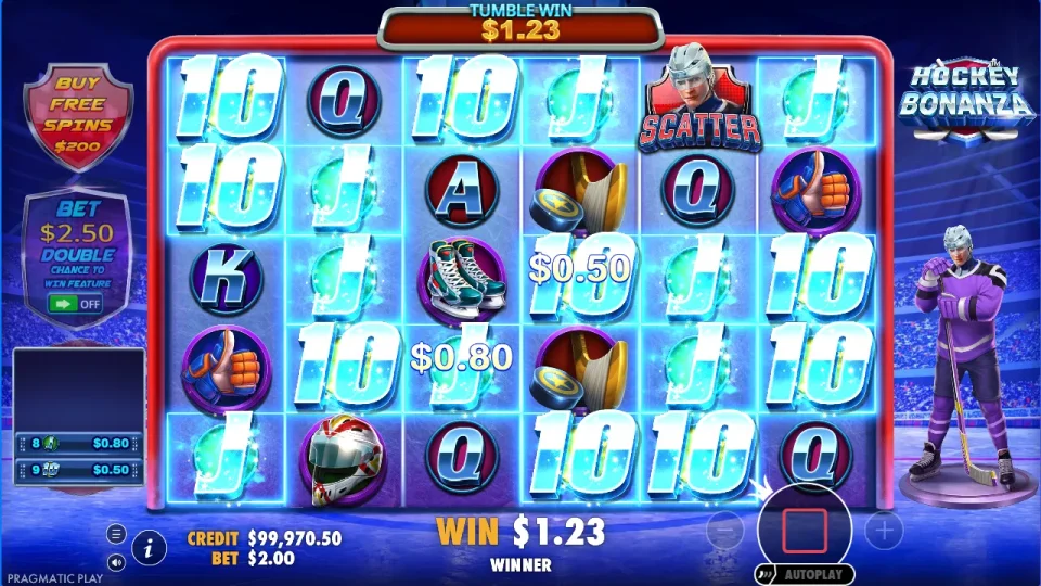 Hockey Bonanza — screenshot 8