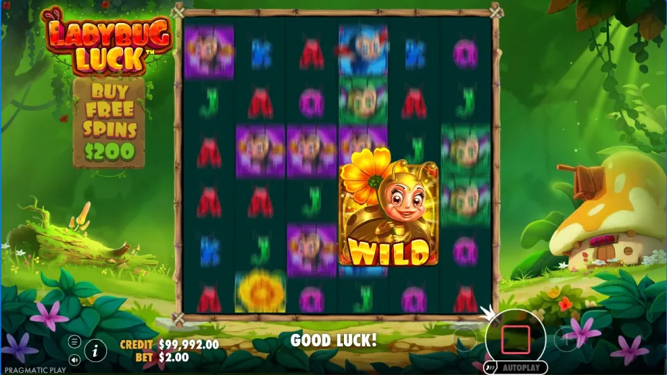 Ladybug Luck — screenshot 8