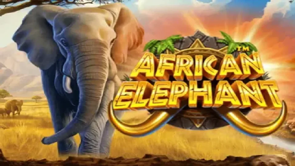 African Elephant — Slots by Pragmatic Play