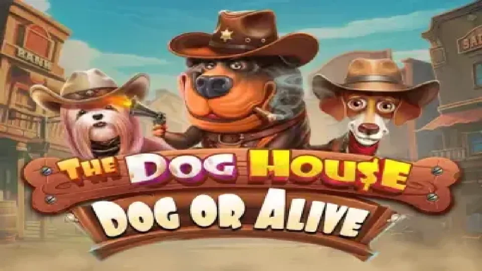 The Dog House – Dog or Alive — Slots by Pragmatic Play